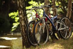 bikes_at_pond_web