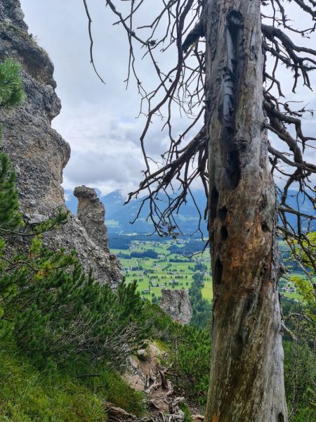 Dachsteingebirge_2021_053