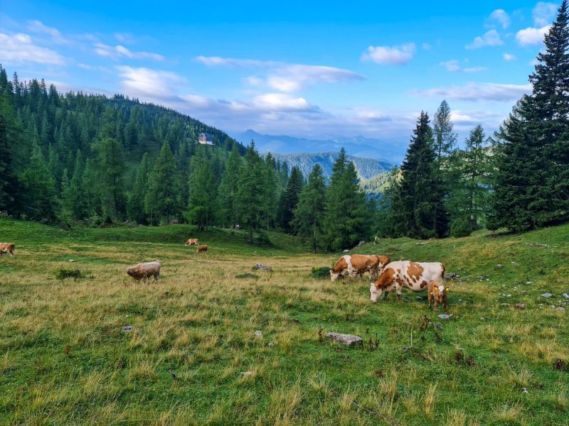 Dachsteingebirge_2021_063