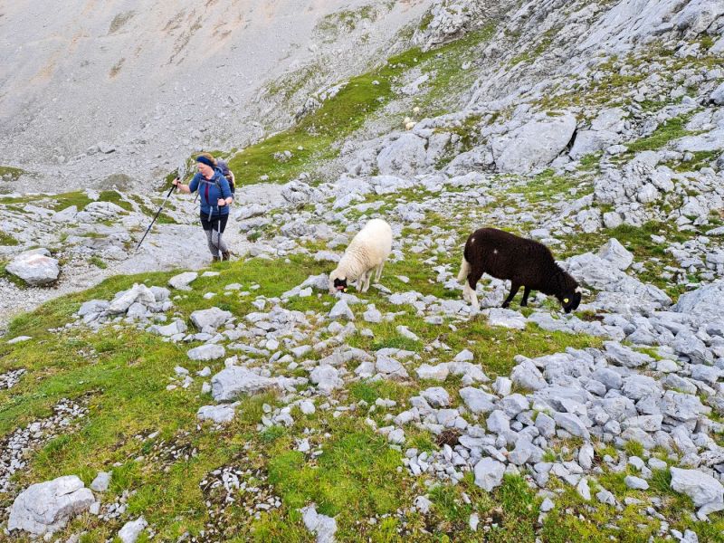 Dachsteingebirge_2021_198
