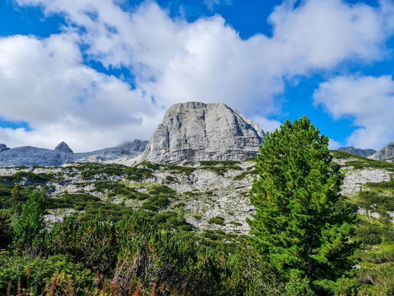 Dachsteingebirge_2021_259