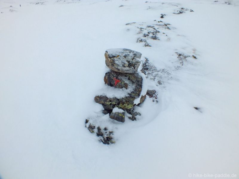 Hardangervidda2016_162