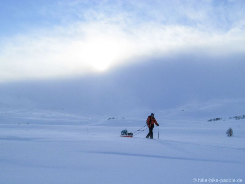 Hardangervidda2016_229