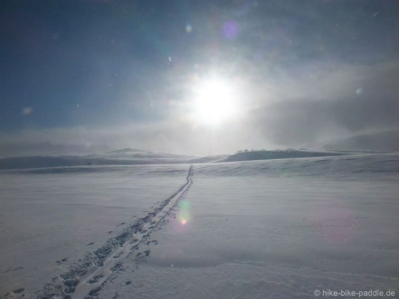 Hardangervidda2016_230