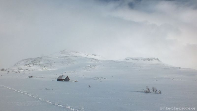 Hardangervidda2016_231