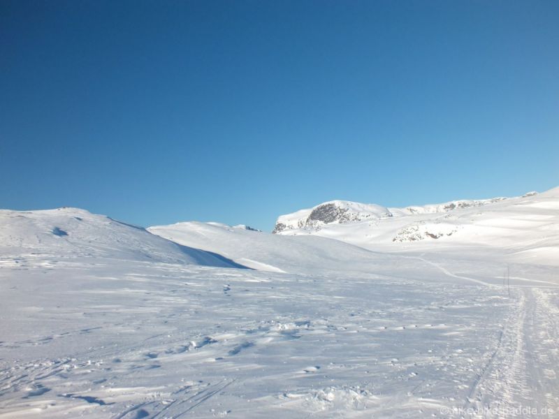 Hardangervidda2016_24