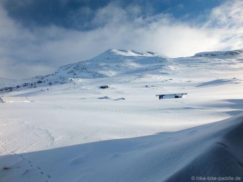 Hardangervidda2016_242