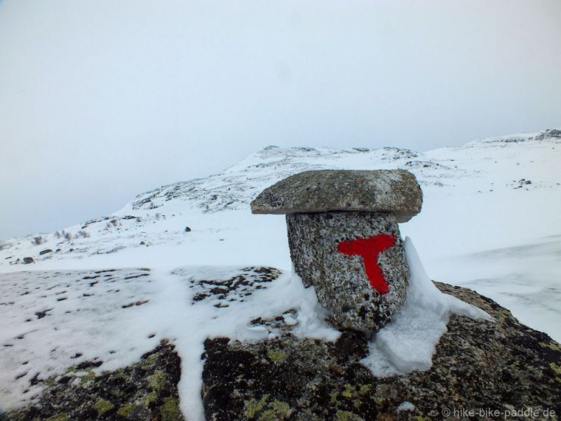 Hardangervidda2016_264