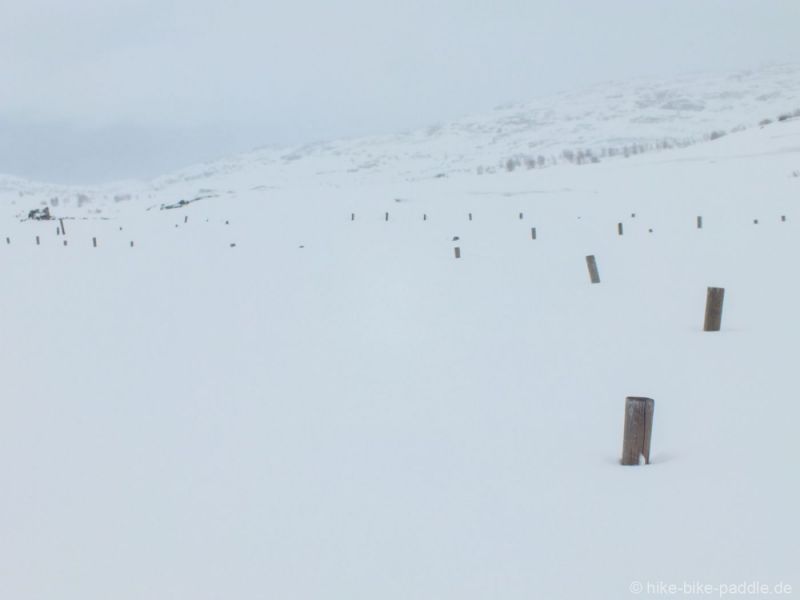 Hardangervidda2016_273