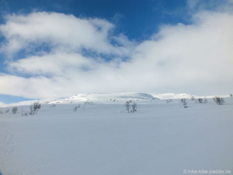 Hardangervidda2016_301