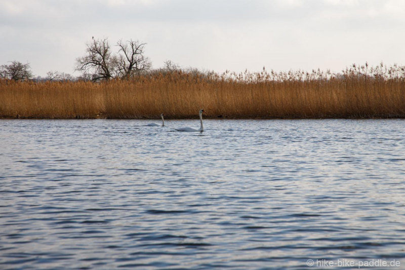 zwischenoderland_051