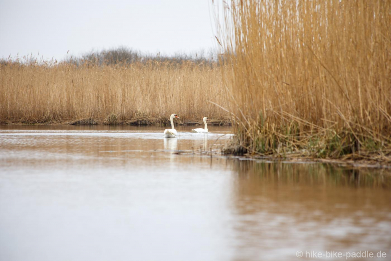 zwischenoderland_152