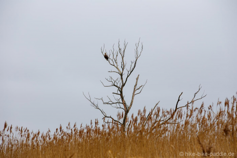 zwischenoderland_168