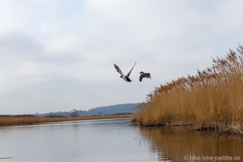 zwischenoderland_189