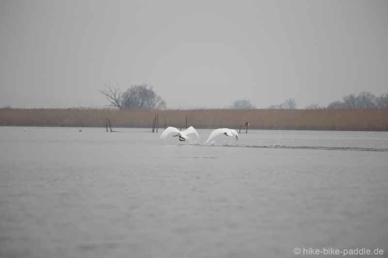 zwischenoderland_282