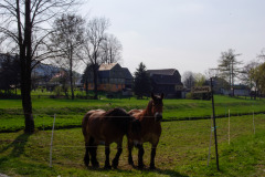 Straﬂe der Jugend, Taubenheim, Sachsen, Deutschland