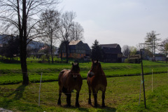 Straﬂe der Jugend, Taubenheim, Sachsen, Deutschland