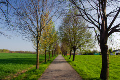 Spree Radweg, Schlungwitz, Sachsen, Deutschland