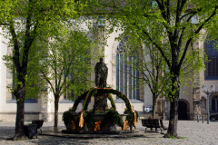 Fleischmarkt, Bautzen, Sachsen, Deutschland