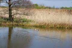 Hauptspree, Ragow, Spree, Brandenburg, Deutschland