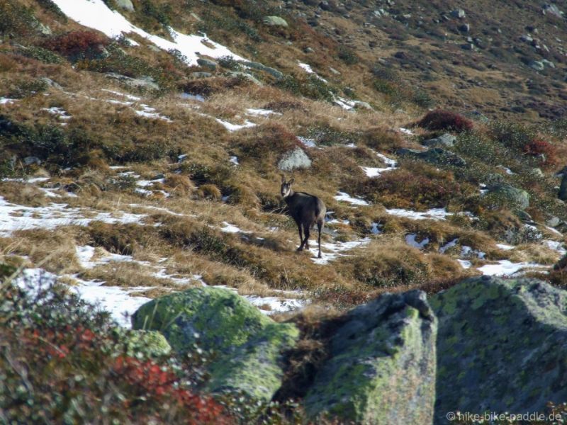 Ahrntal_Runde_2007_176