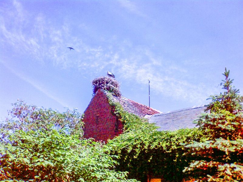 TOURBB_2008_067
