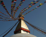 Tsum_DSC00782